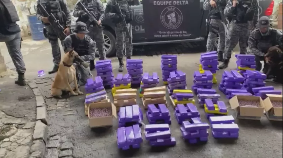 Polícia apreende cerca de 300kg de maconha em operação na Nova Holanda, Zona Norte do Rio