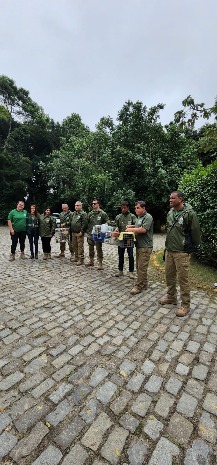 animais resgatados pela patrulha ambiental