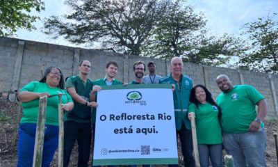 Dia da Árvore: Prefeitura promove plantio de mais de 700 mudas em parques naturais do Rio