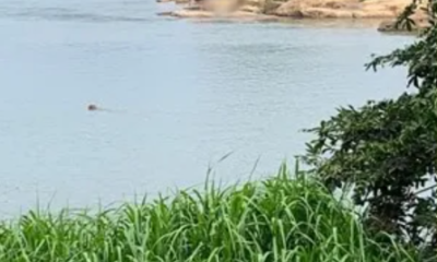 Corpo de adolescente desaparecido no Rio Paraíba do Sul em Cambuci é encontrado