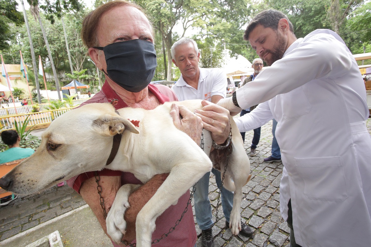 Cão sendo vacinado contra raiva