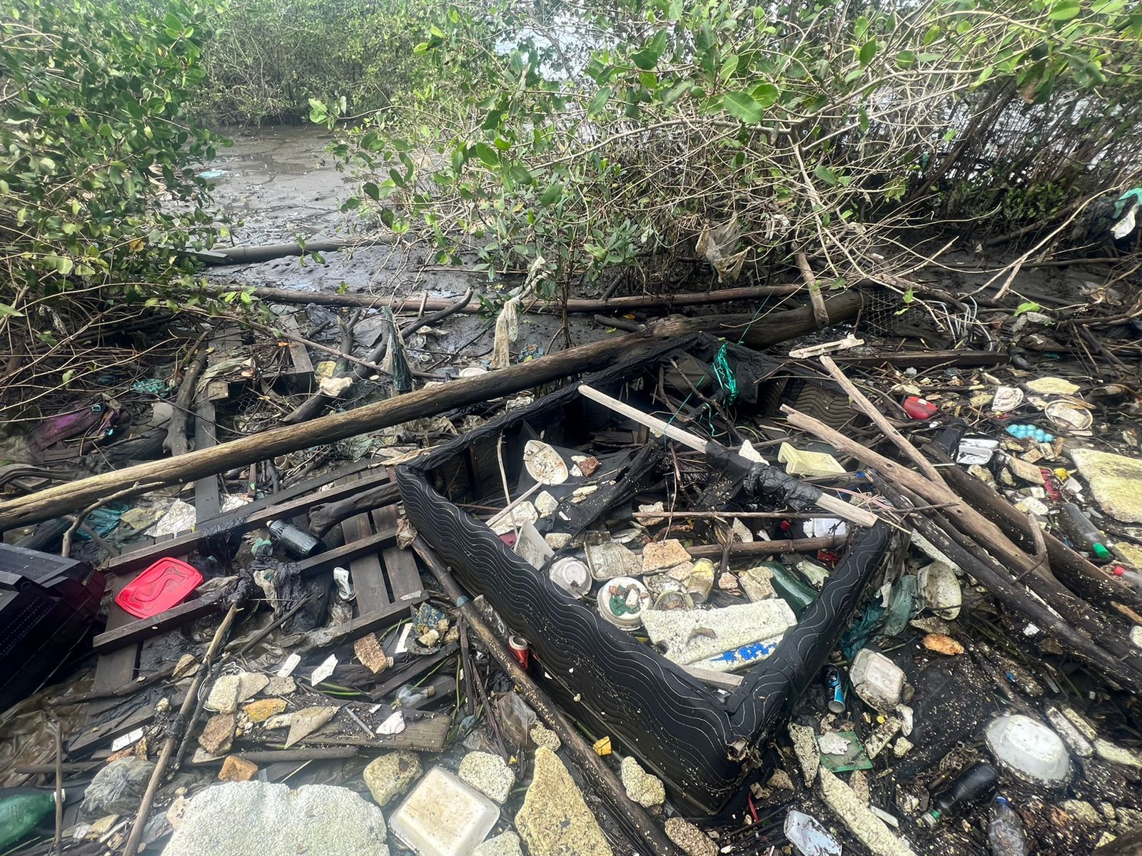 Mais de 100 toneladas de lixo são retiradas dos manguezais em Gramacho