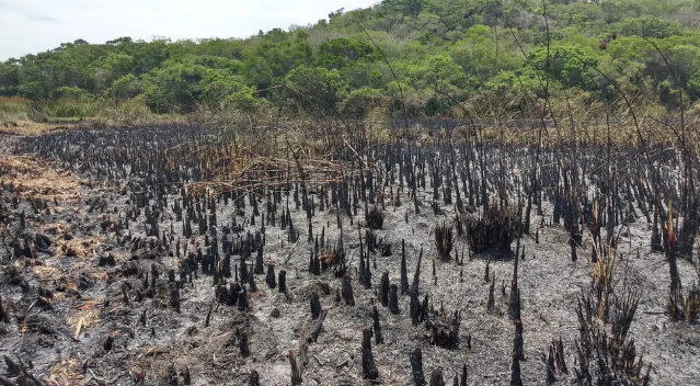 Incêndio nas Dunas do Peró é controlado