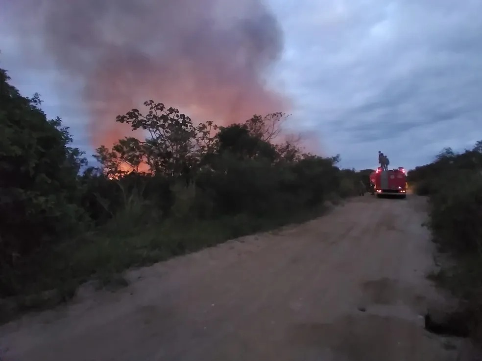 Fogo atinge vegetação em Cabo Frio