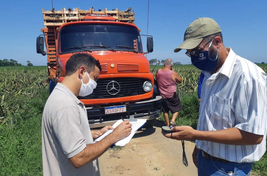 Uso de agrotóxicos no RJ Secretaria de Estado de Agricultura