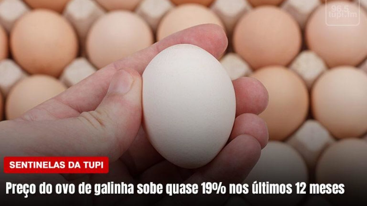 Preço do ovo de galinha sobe quase 19% nos últimos 12 meses, Jornal  Nacional