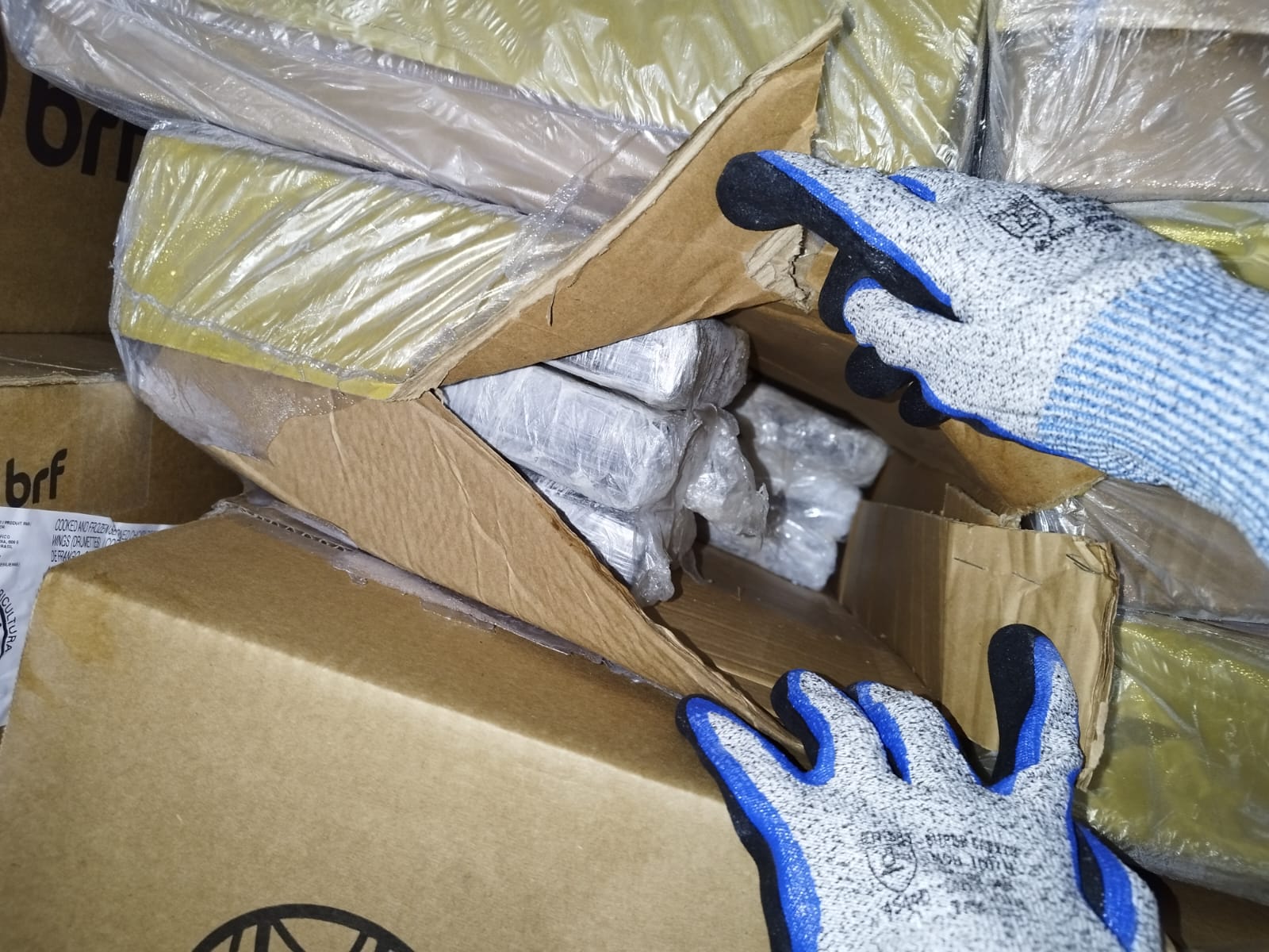 Receita apreende 276 KG de cocaína em carga de aves congeladas no Porto de Itaguaí, na Região Metropolitana (Foto: Divulgação/Receita Federal)