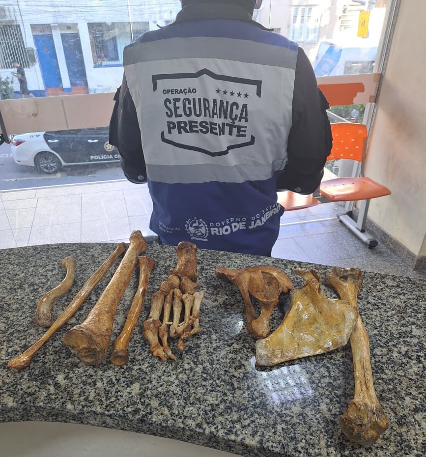Homem é preso por vender ossos humanos na Tijuca