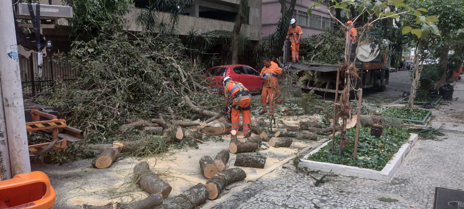 Ventania derruba árvores em diversas regiões do Rio