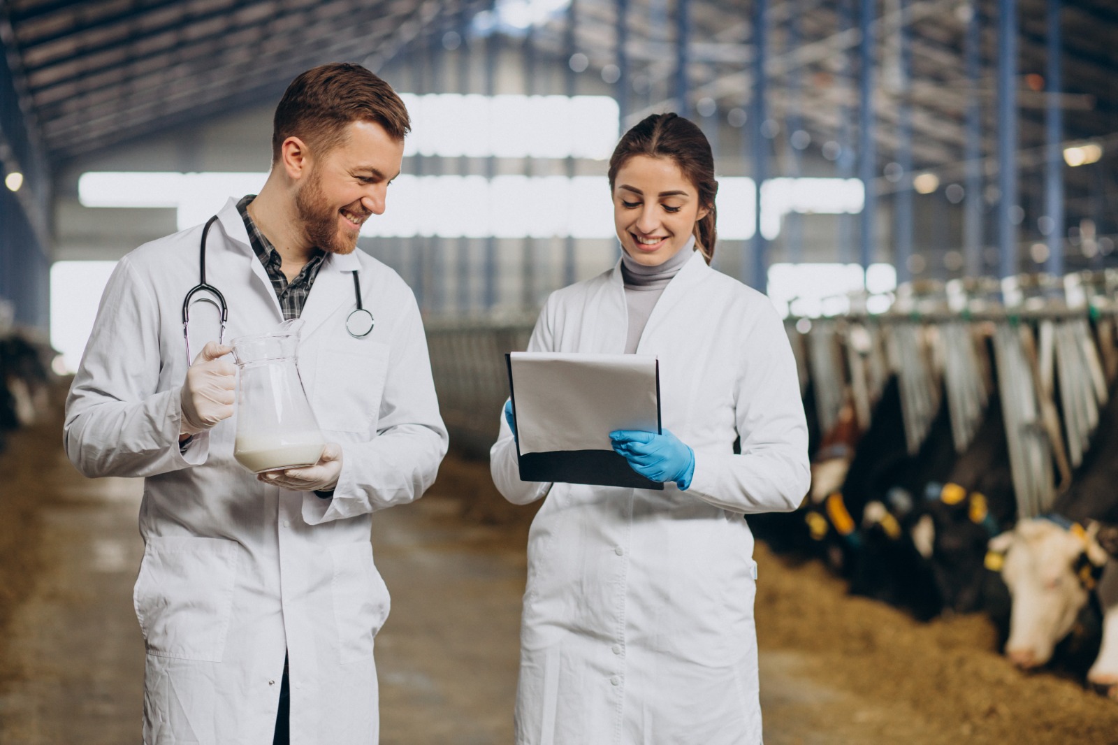 Dia do Médico Veterinário: conheça a versatilidade da profissão