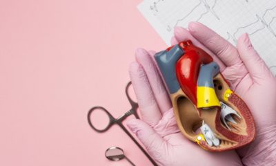 Salvar vidas: o valor da doação de órgãos e tecidos
