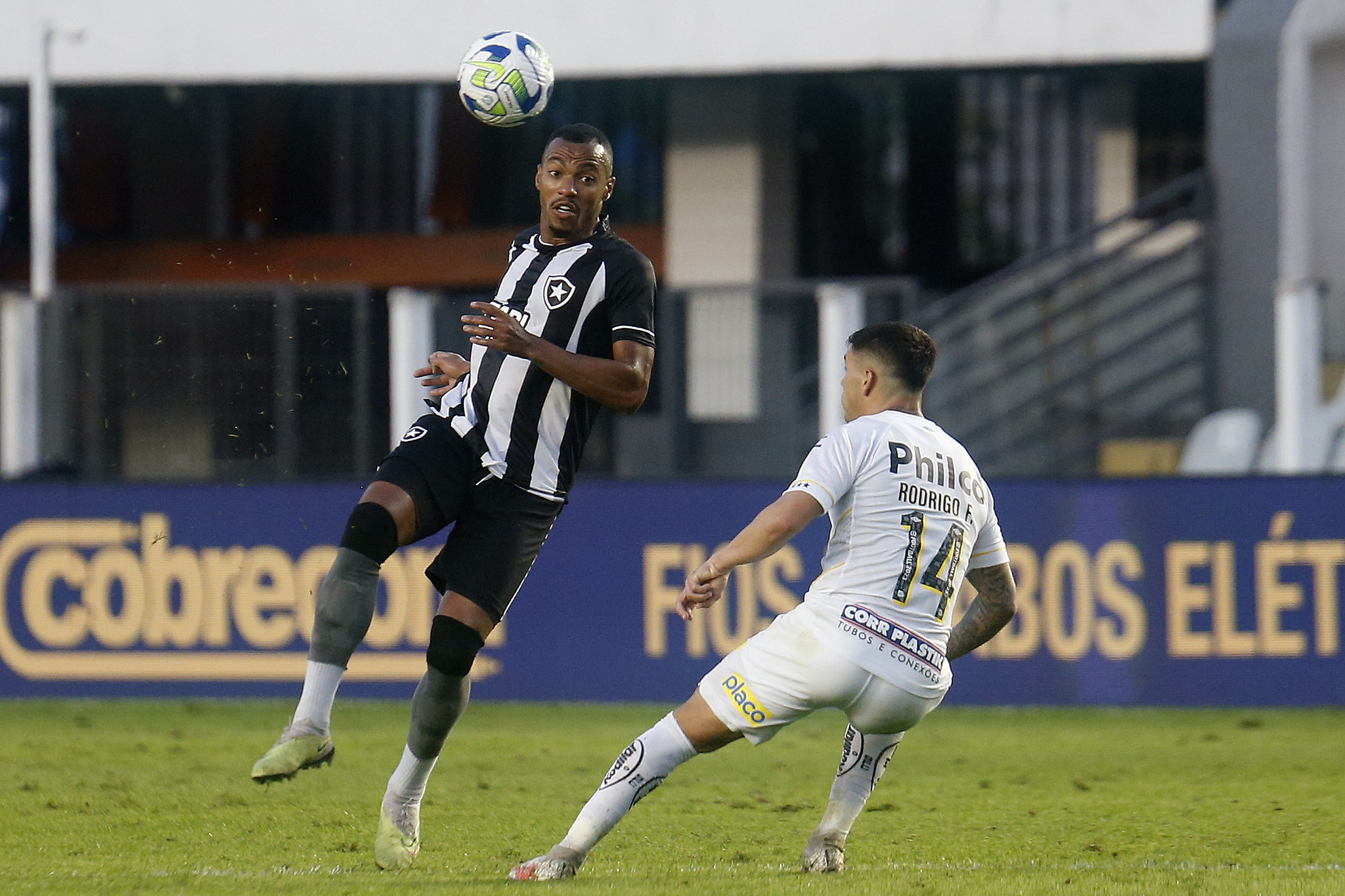 Botafogo x Santos