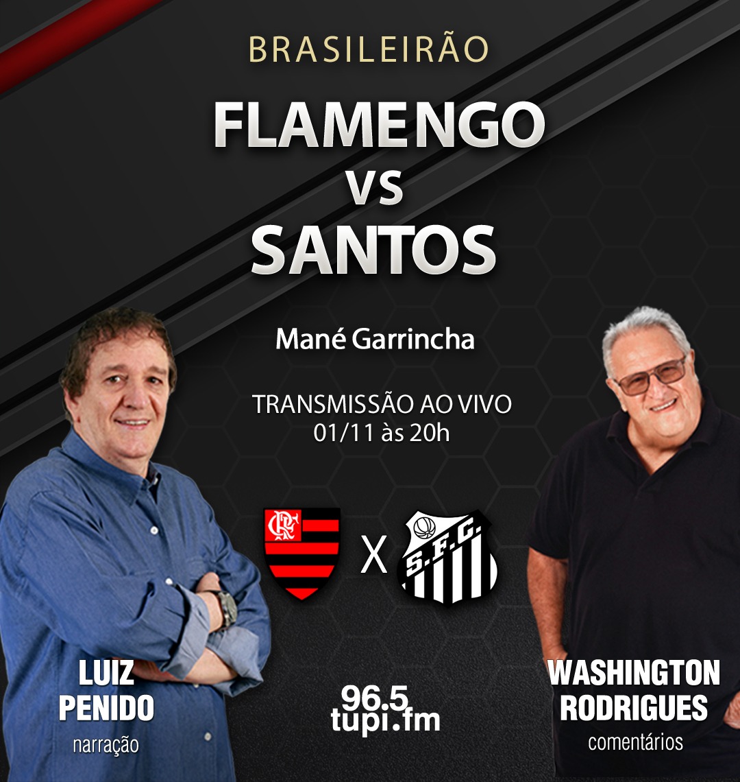 FLAMENGO X SANTOS AO VIVO COM IMAGENS I BRASILEIRÃO