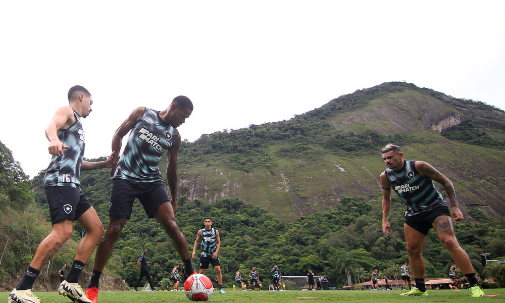 Time Misto Botafogo Est Escalado Para Enfrentar O Audax Super