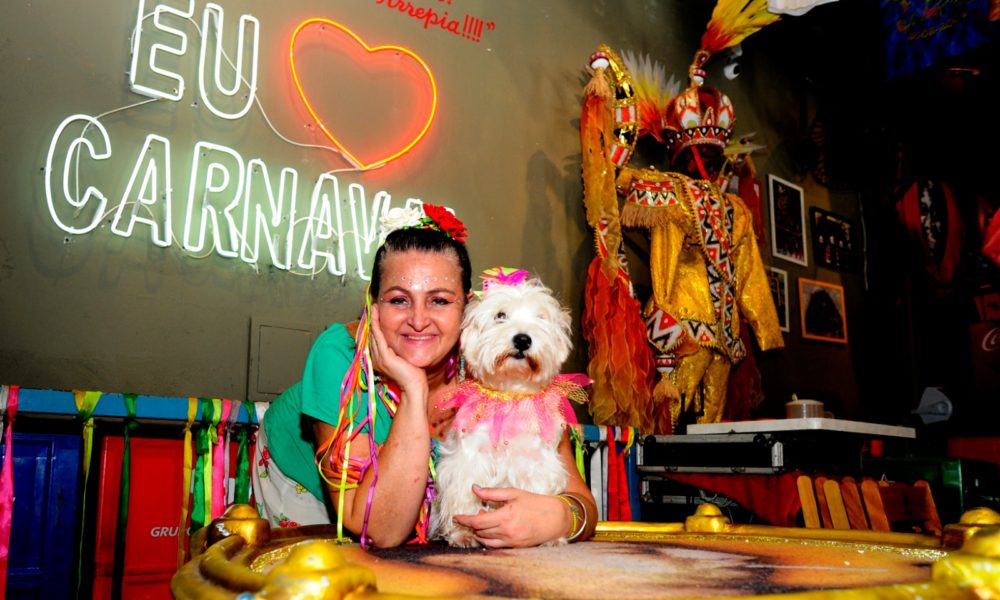 Confira Pets Usam Fantasias E Est O Em Ritmo De Carnaval Super R Dio