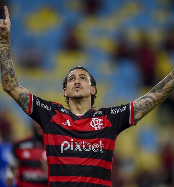 Pedro. Flamengo x Amazonas (FOTO: Marcelo Cortes)