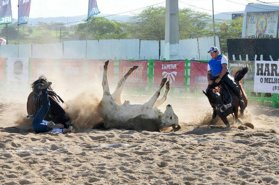 (Foto: Falamare/ Divulgação )