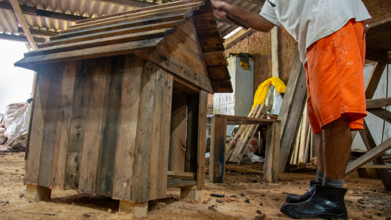 casas para animais feitas por apenados canoas rio grande do sul