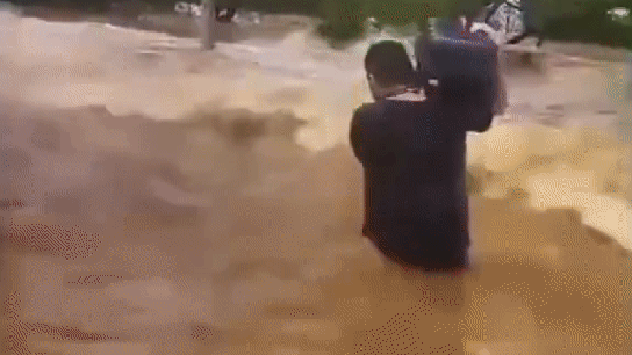 Morador de Porto Alegre enfrenta ondas de 1,5 m do rio Guaíba ao resgatar gatos.
