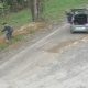 Mulher abandona filhotes de cachorros em estrada