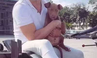 Zezé Di Camargo adota cãozinho.