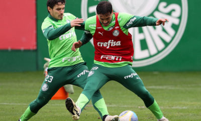 Palmeiras