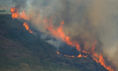 Incêndio florestal no Rio