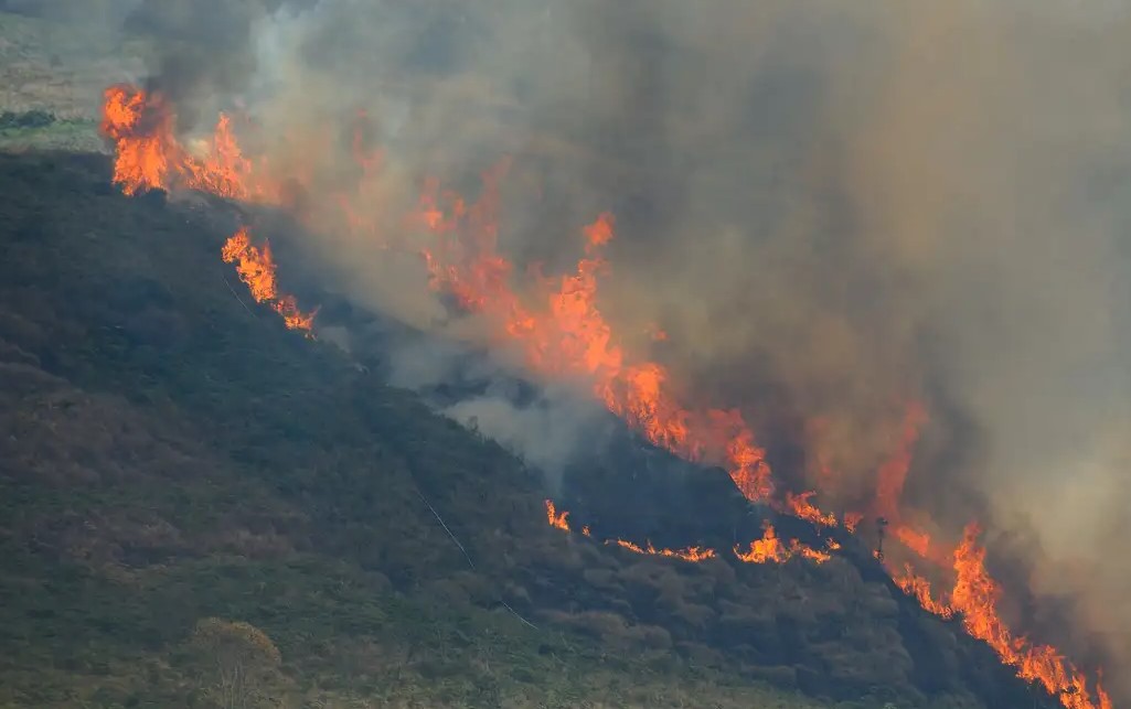 Incêndio florestal no Rio