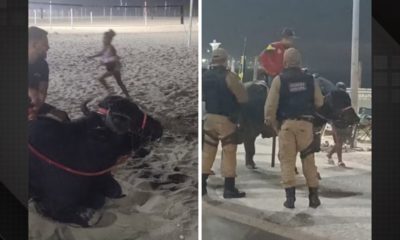 Homem passeia com búfalo na Praia de Copacabana e surpreende banhistas