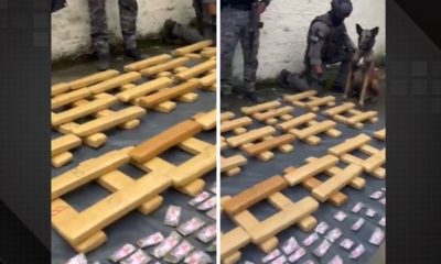 Polícia Militar apreende meia tonelada de maconha no Complexo da Maré