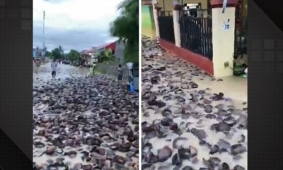 Enchentes na Indonésia.