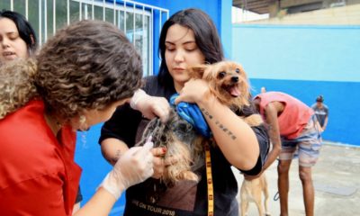 Progarma para castração de animais em Nilópolis, na Baixada Fluminense.