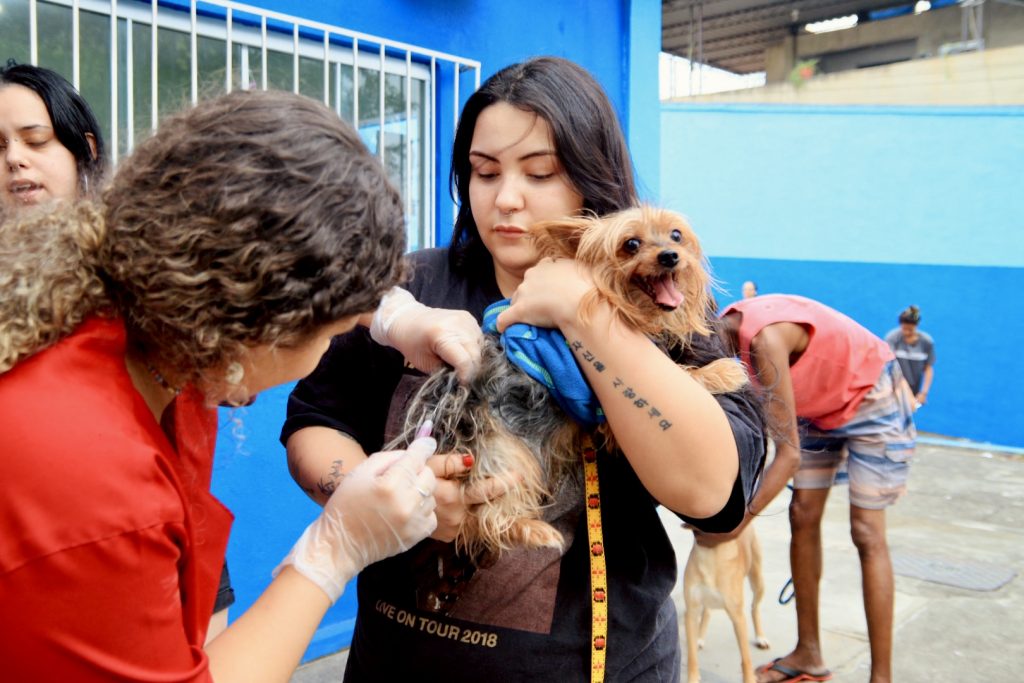 Progarma para castração de animais em Nilópolis, na Baixada Fluminense.