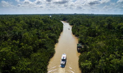 Descubra a Amazônia e o Pantanal no Brasil com passeios de aventura únicos.