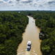 Descubra a Amazônia e o Pantanal no Brasil com passeios de aventura únicos.