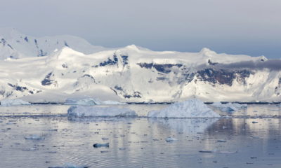 A Transformação da Antártida: O Impacto do Aquecimento Global no Continente Gelado