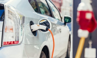 Mercado de Carros Elétricos no Brasil em 2024: Mais Sustentáveis e Acessíveis