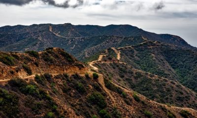 Descobertas revelam diversidade da vida na Terra há 800 milhões de anos