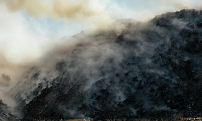 Entenda os problemas e soluções do descarte de lixo no Brasil