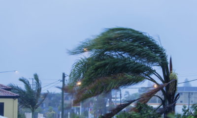 INMET emite Alerta de Vendaval com Ventos de Até 60 km/h