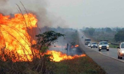 Riscos de tempo seco e crimes ambientais nas rodovias paulistas alertam motoristas