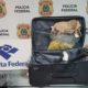 Passageira é presa com cocaína avaliada em R$ 93 mil no Aeroporto Galeão