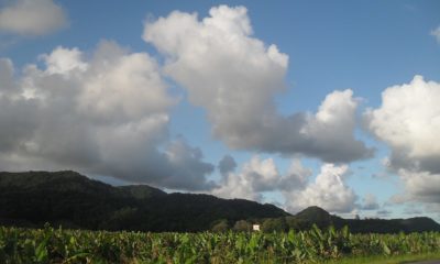 Itariri: Descubra o Paraíso Natural de São Paulo