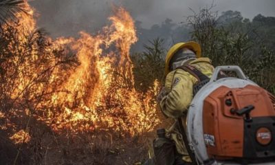 Queimadas mais que dobram no Brasil em 2024.