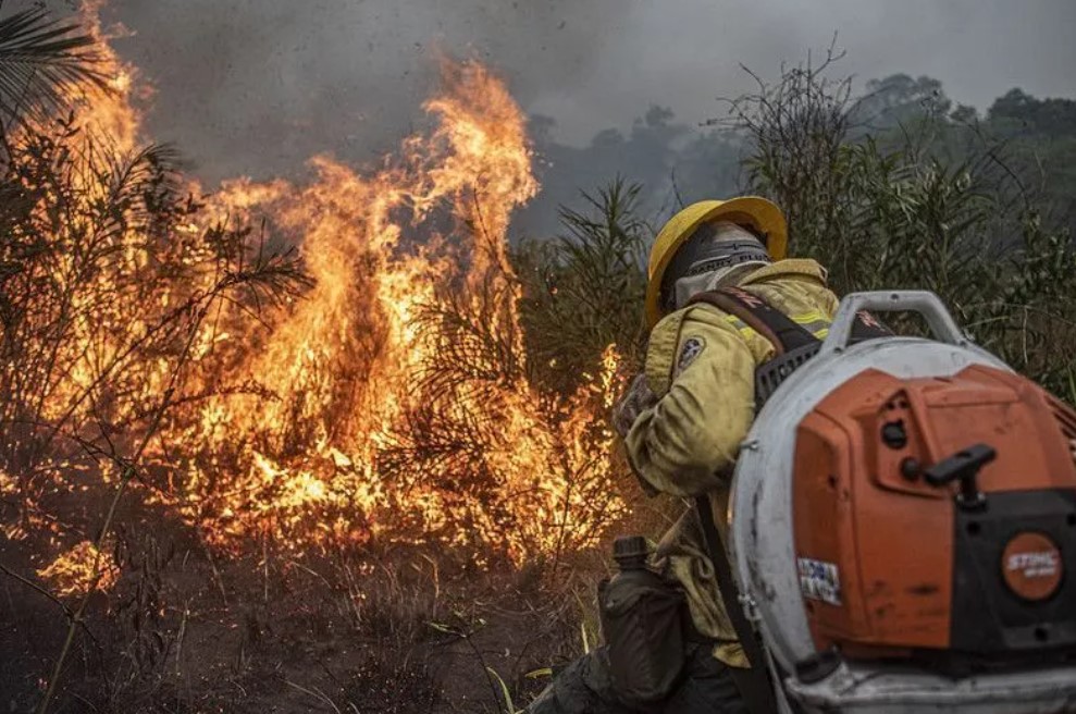 Queimadas mais que dobram no Brasil em 2024.