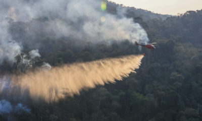 Incêndio florestal no Rio