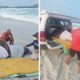 Golfinho é resgatado por bombeiros em Cabo Frio e ganhará nova chance no mar