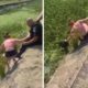 Policiais formam ‘Corda Humana’ para salvar cachorro em canal no Rio