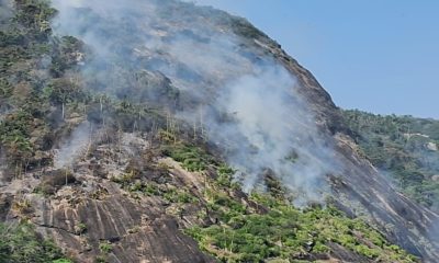 Incêndio de grandes proporções atinge o Morro das Andorinhas, em Niterói.