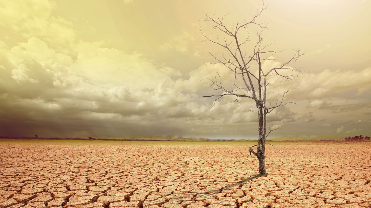 Seca Extrema no Brasil: Superando os Índices do Deserto do Saara